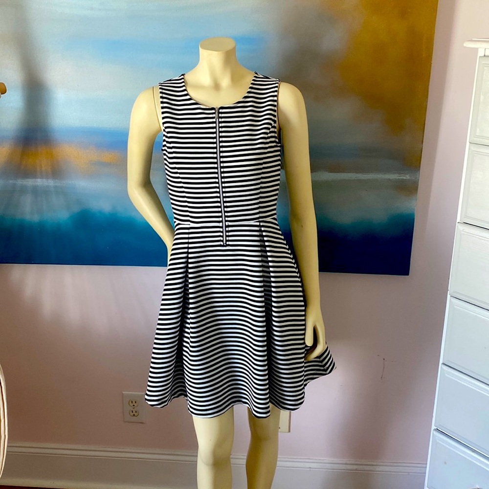 Fit and Flare dress